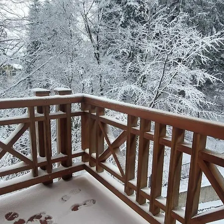 Apartament Z Prywatna Sauna, 300 M Do Szrenica Ski Arena * Sklářská Poruba